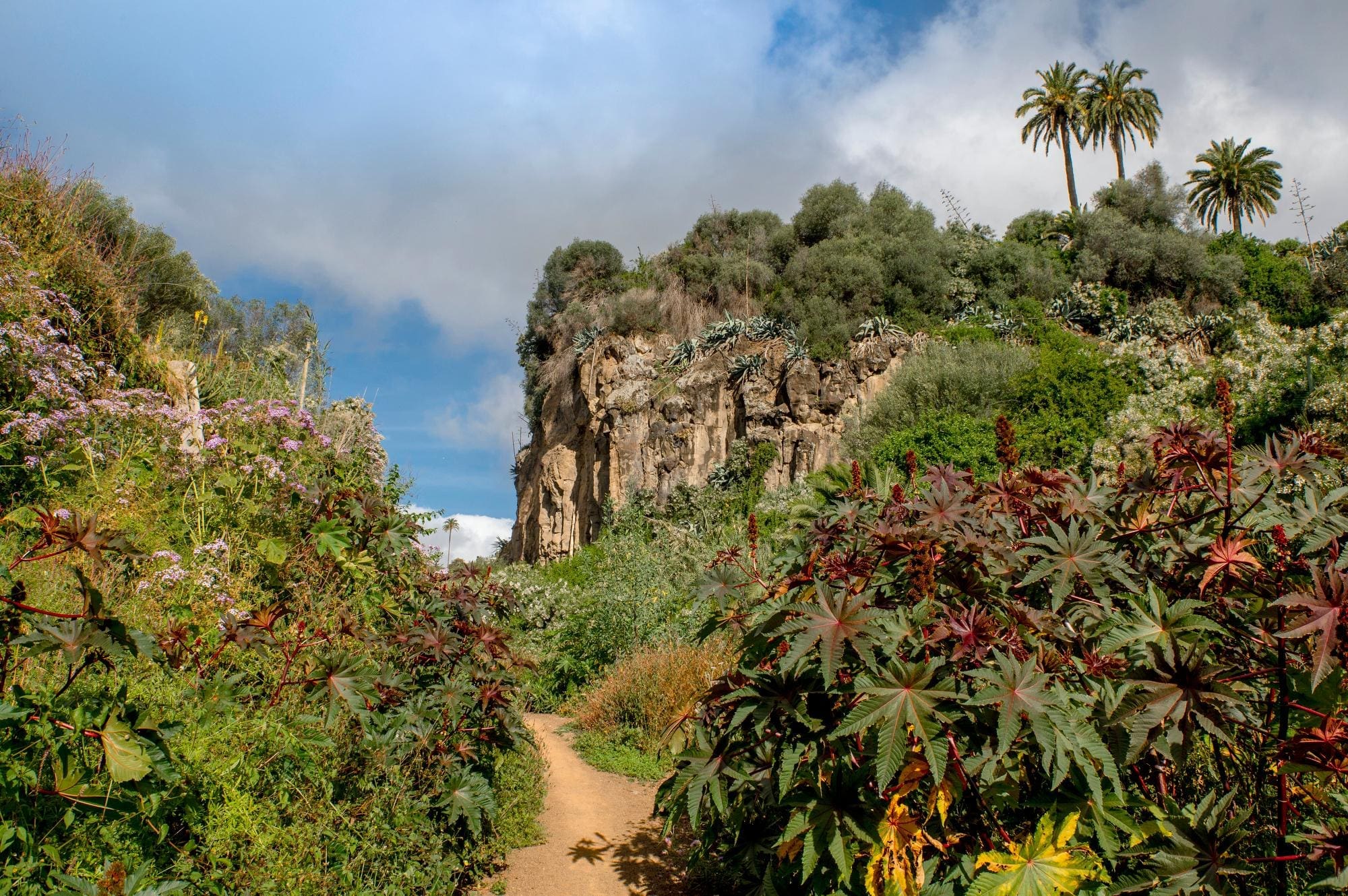 Un environnement naturel unique en plein cœur de la ville pour se promener et se déconnecter